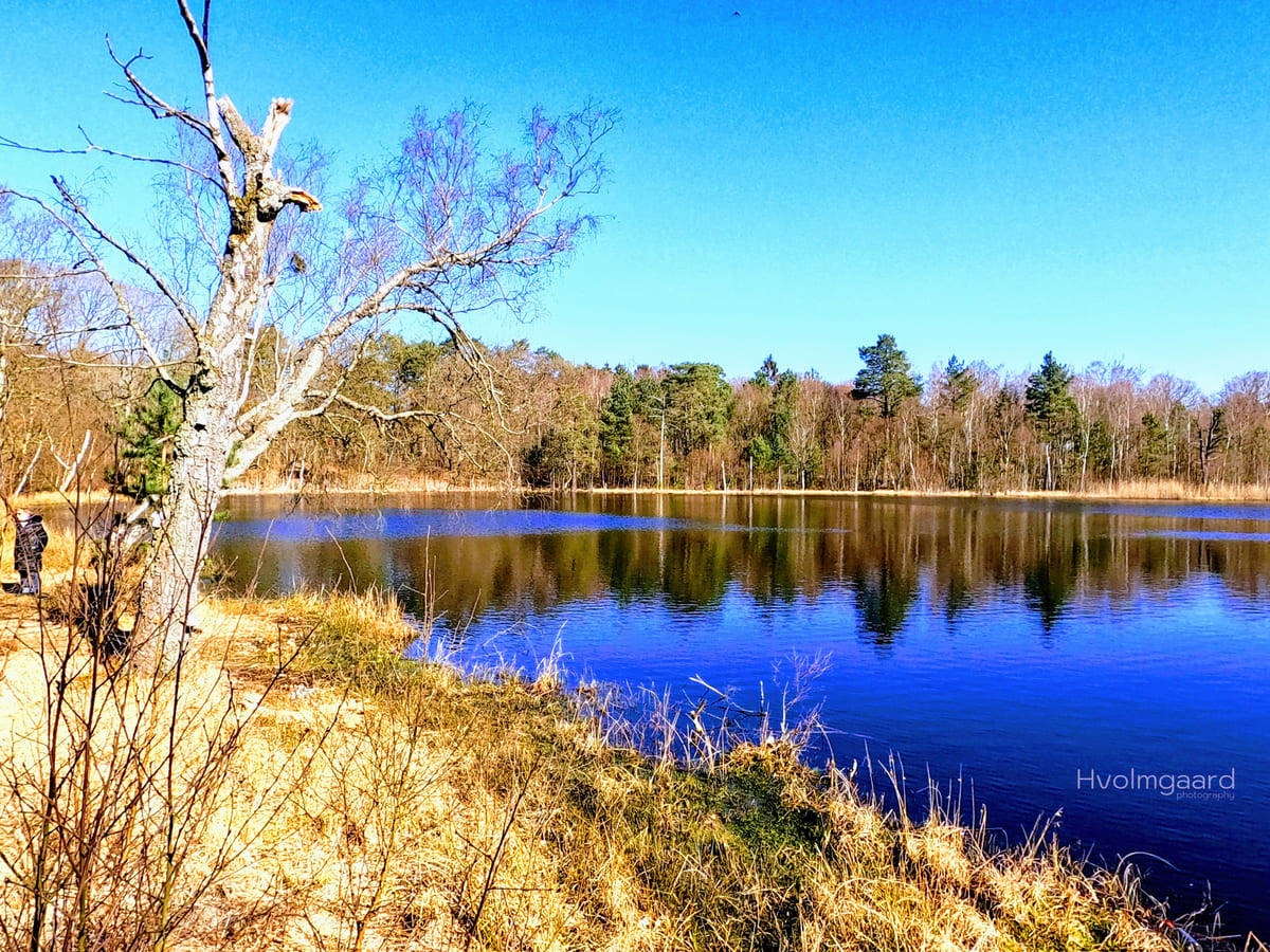 Lillesø Silkeborg