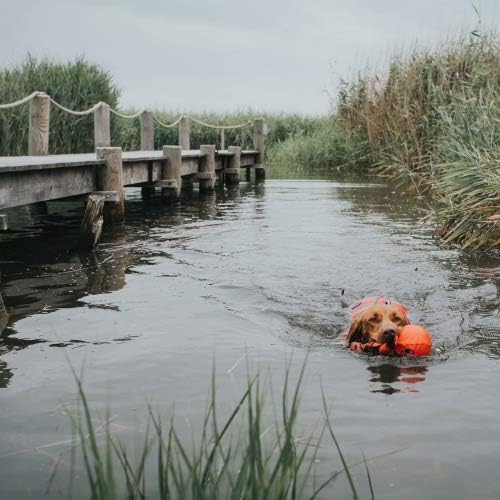 HUNTER MOSS Schwimmweste, Schwimmhilfe für Hunde, Haltegriff, reflektierend, L, rot